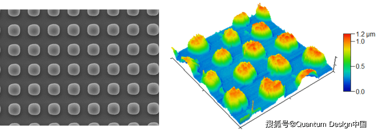 and their co-adsorption behaviors by different size fractions