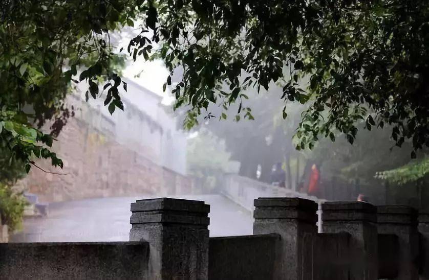 山中雨景图片