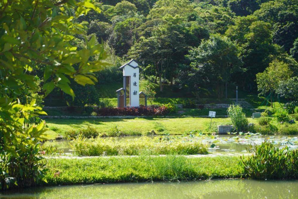 珠海金湾三灶镇鱼月村,中心村:用文明底色绘就美丽新画卷_改造_小区