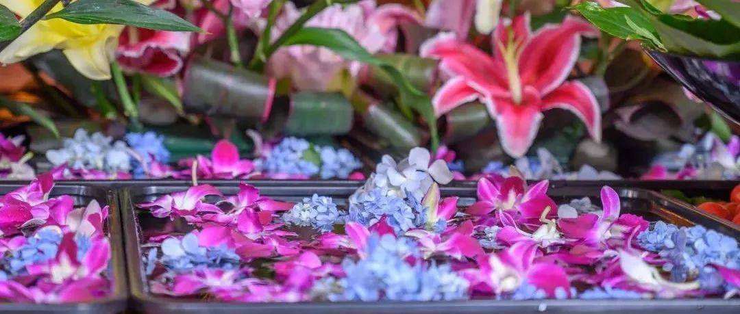 香期供花 | 祈愿十方众生身心安乐，如意吉祥_供养_菩萨_香花
