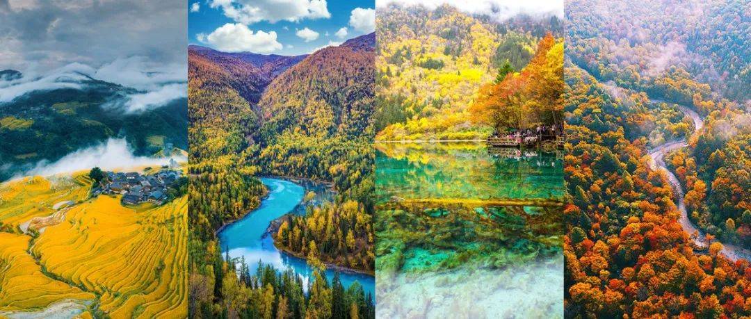 中国秋景,从这里开始_喀纳斯_呼中镇_地区