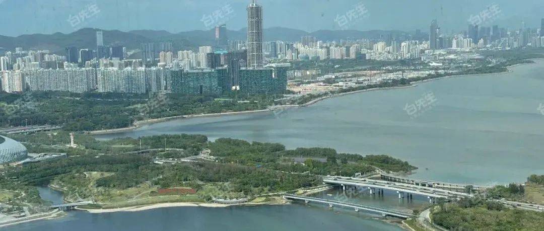 【唯一可售超高层稀缺海景大平层】深圳湾·4房 | 深圳湾一号 464.8㎡_房源_景观_公园