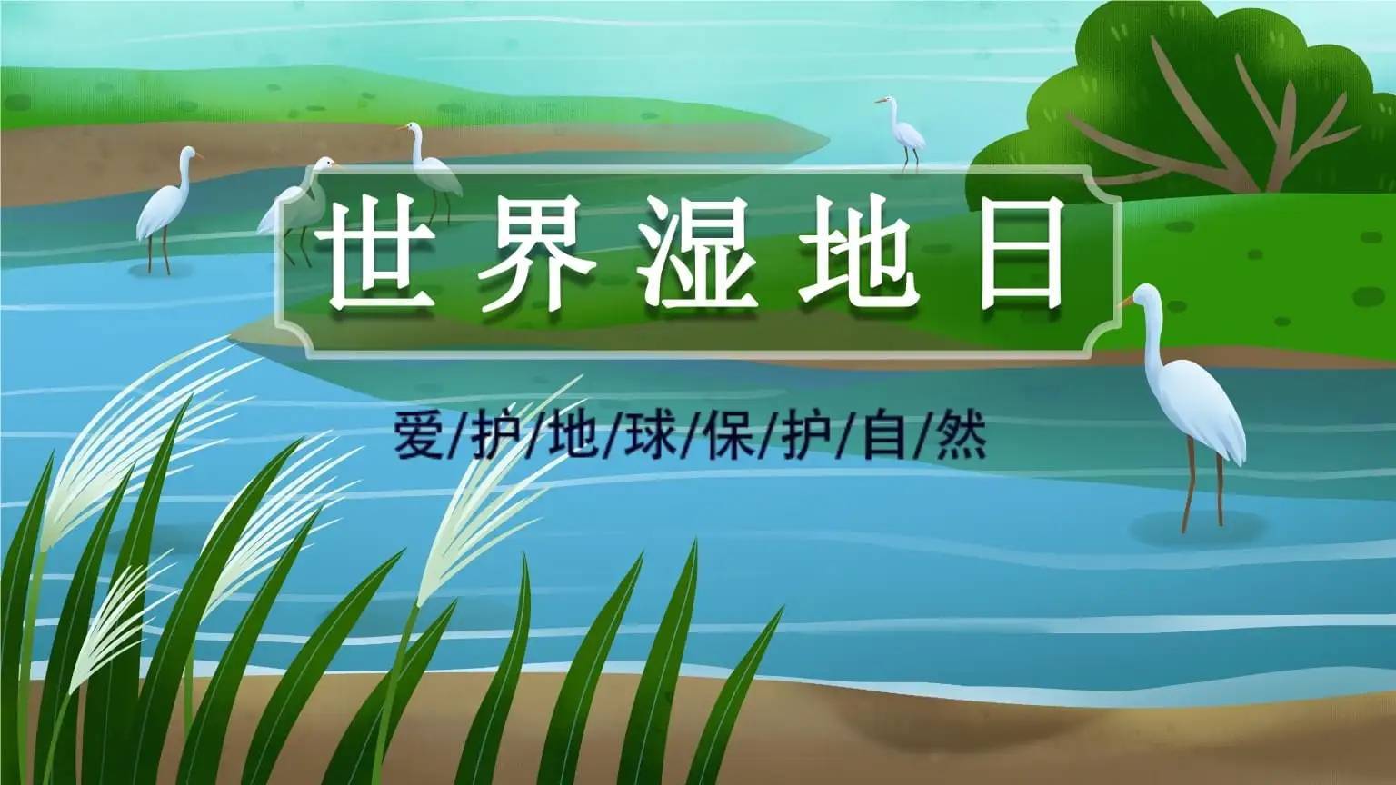 世界湿地日,保护生态环境_生物_我国_多样性