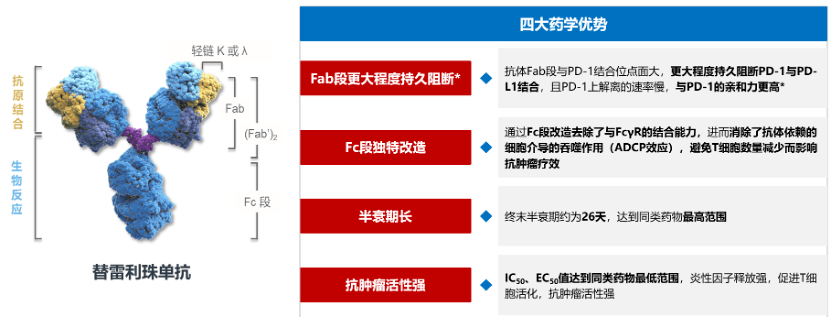子宫内膜癌治疗新策略：免疫治疗方案从单药走向联合_恶性肿瘤_患者_预后