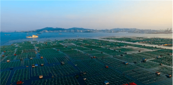 智慧渔港监管平台——助力海洋强省建设_渔船_监控_进出港