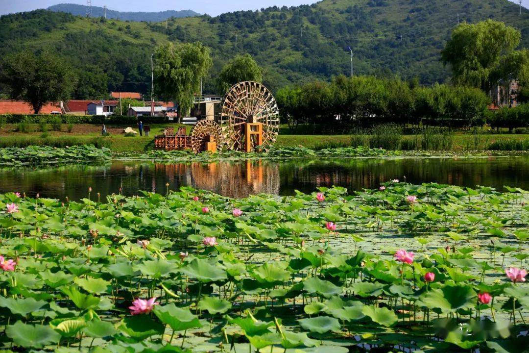 柳壕湿地公园