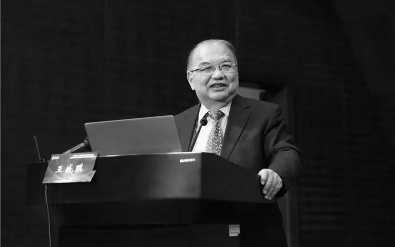 王威琪院士逝世_医学_超声_电子学