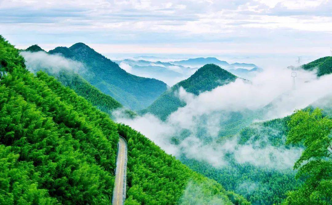 无事神仙逍遥散仙岂不快哉在莫干山做一回徜徉野径唯山川无言人在山上