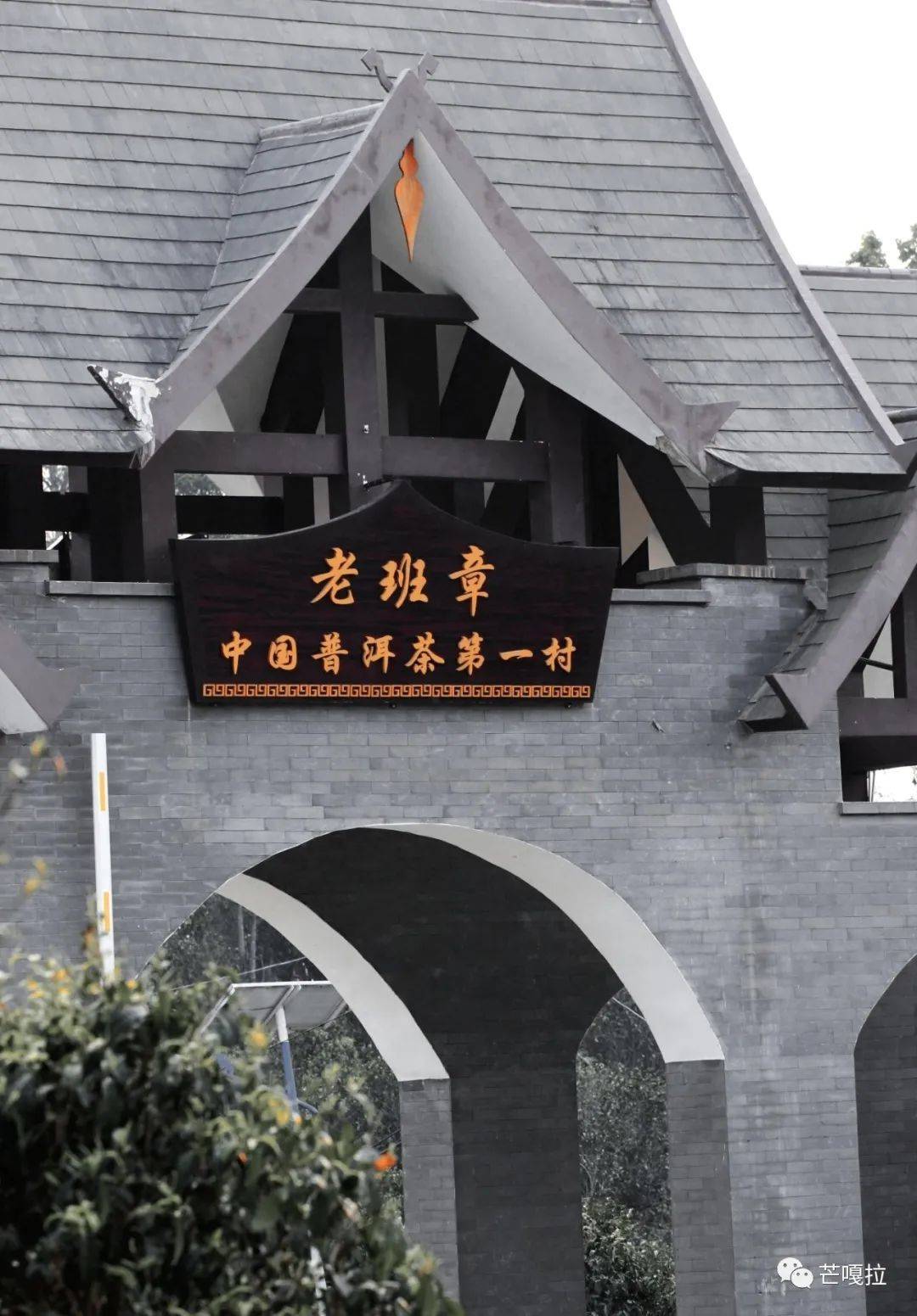 新品快讯 | 高端熟茶风味,还看大班章_五寨_原料_芒嘎