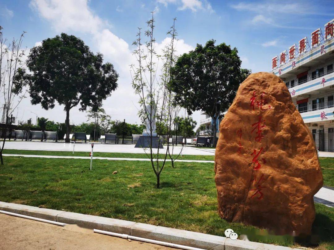 水口中学即将开学!这届初一新生共设18个班!_年级_核酸_检测