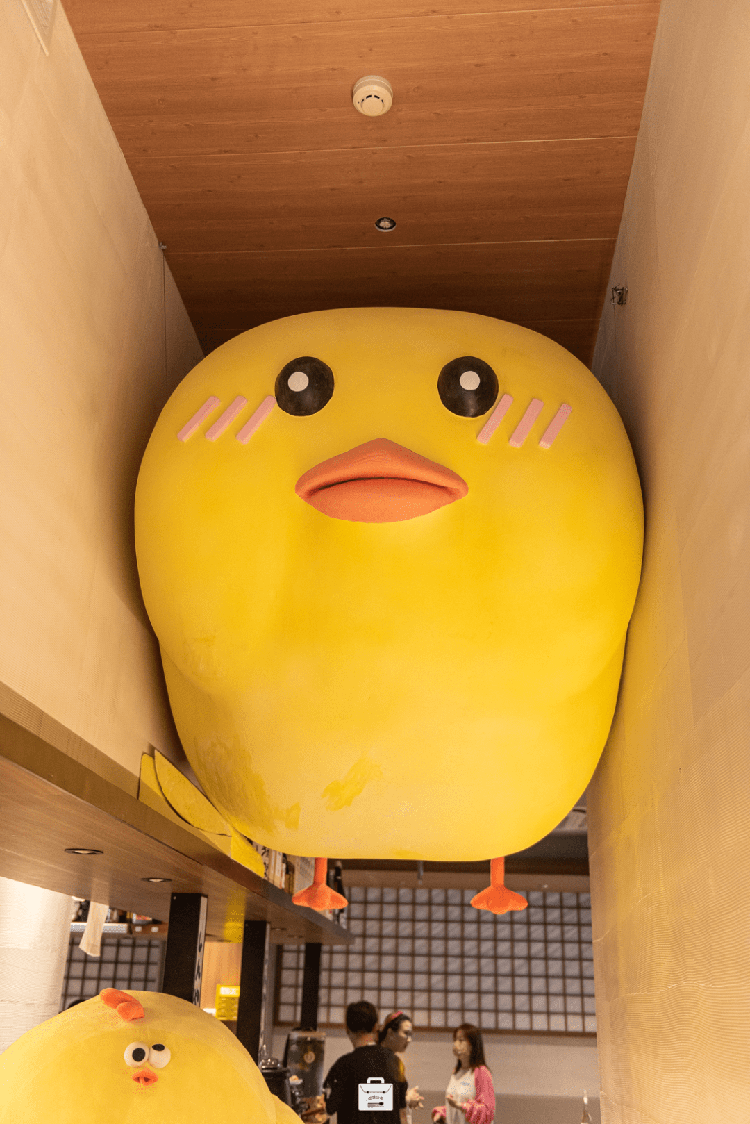 一进门,先接受来自"夹"在墙壁中间的一只大头鸡的可爱凝视.