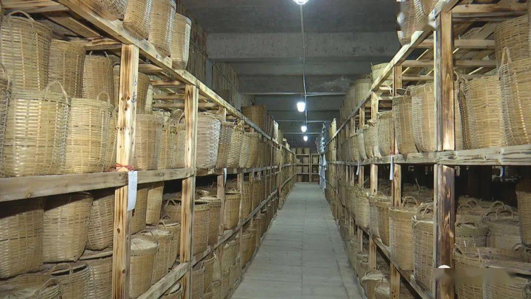 非凡十年 | 千年六堡展新姿 茶海扬帆正当时_的发展_苍梧县_梧州