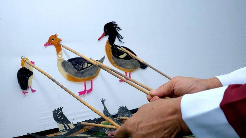 远安传统皮影惊艳亮相桃花岛_湿地_国家_保护