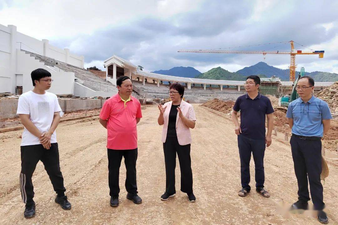 莫莲到金秀调研重大项目建设推进和乡村振兴工作_整改_问题_要求