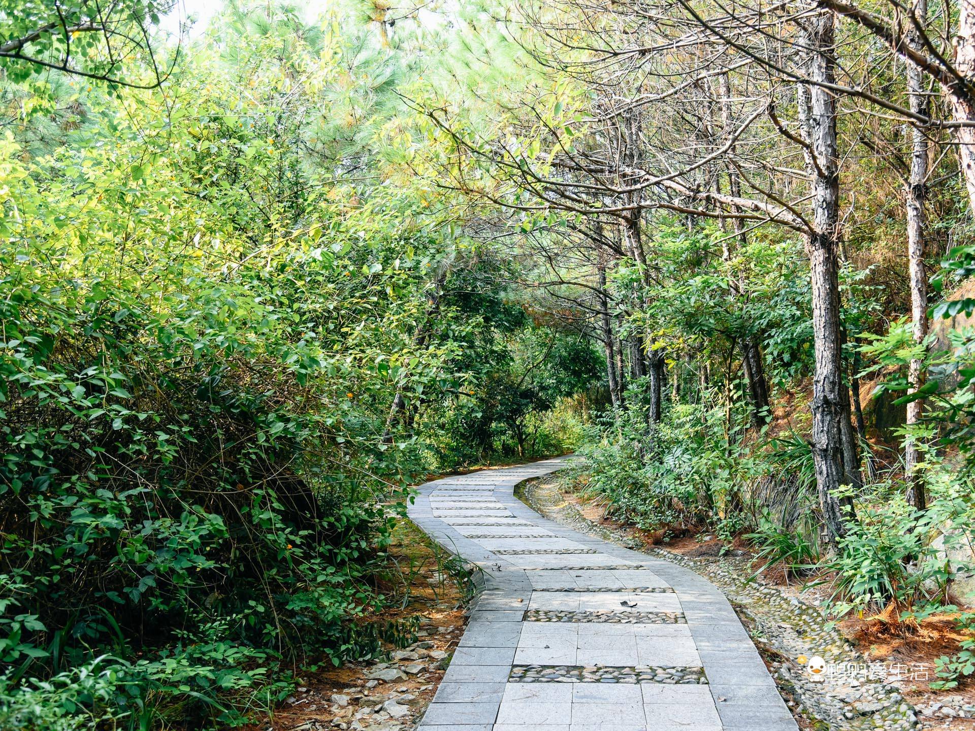 海沧大屏山郊野公园图片