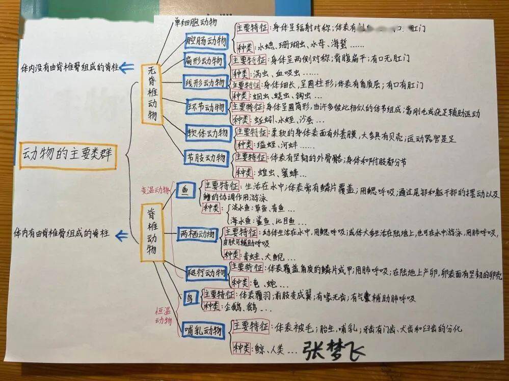 初一暑假生物作業——思維導圖優秀作業展_知識_實驗_工具