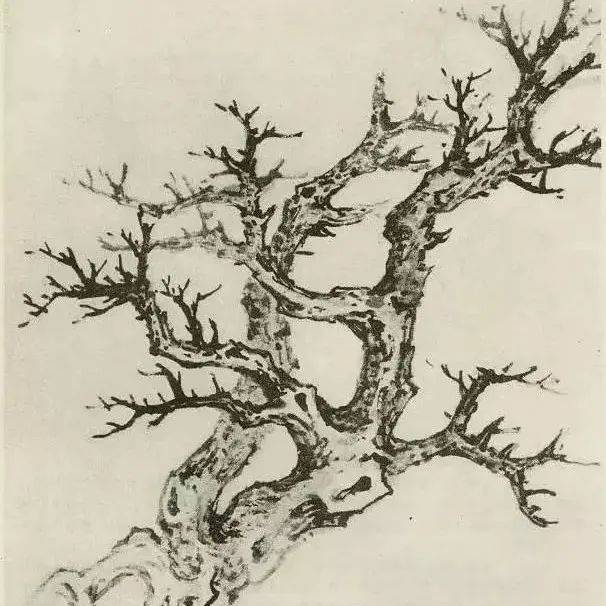 国画中所有树的详细画法解析_树木_线条_树分