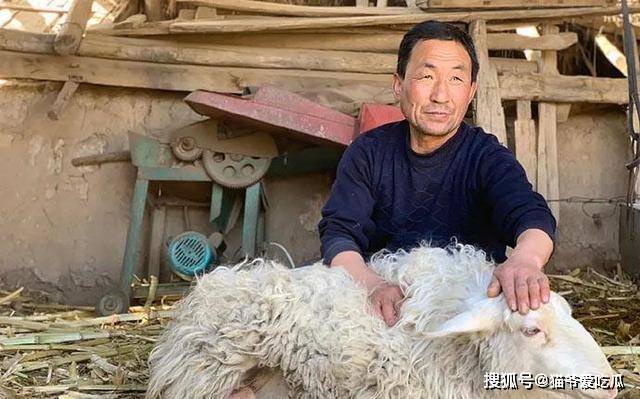 隐入尘烟男主扮演者武仁林：他是导演的姨夫，个人资料大曝光_海清_李睿珺_电影