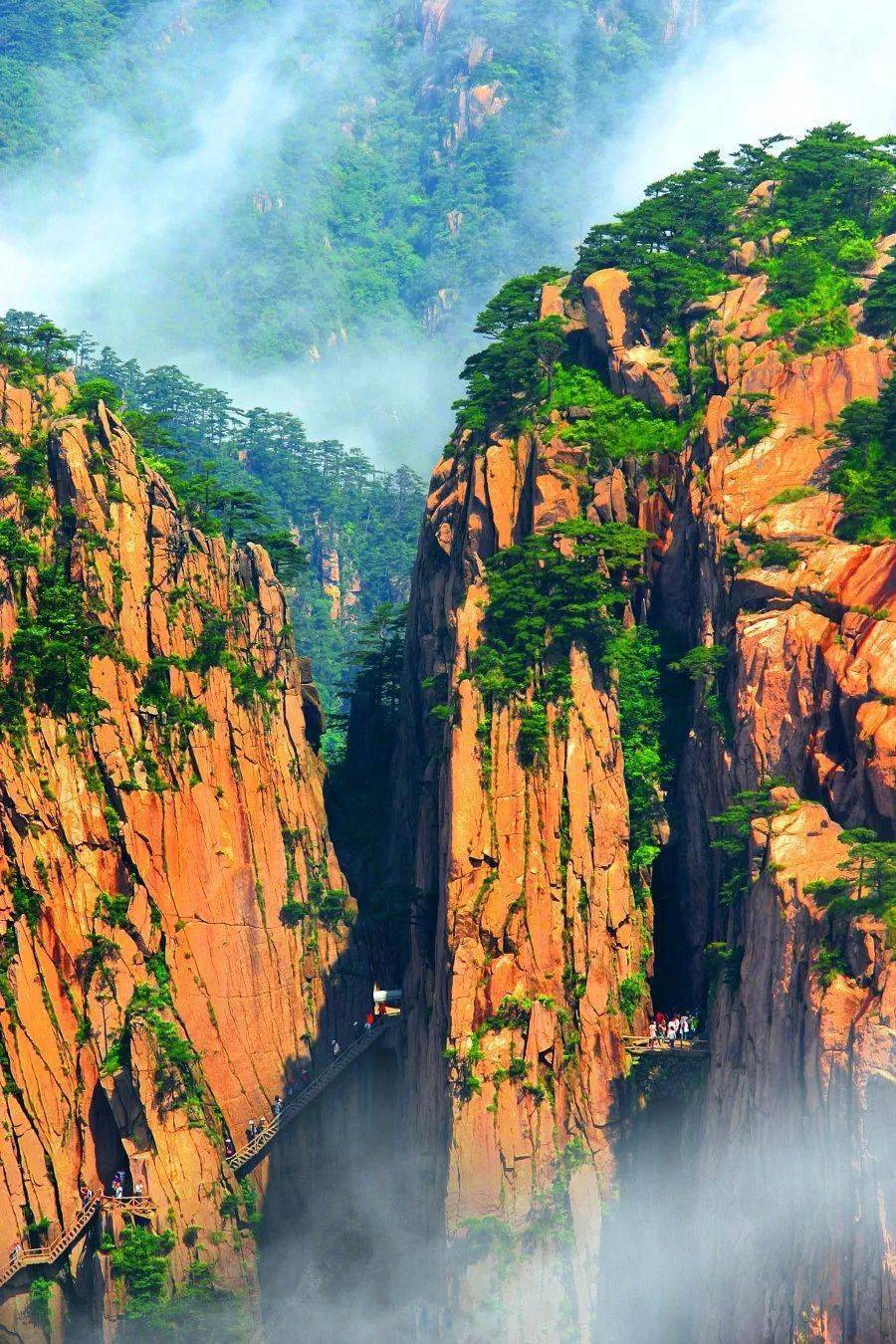 【高铁黄山&"皖"转徽州】登天下第一奇山安徽黄山,夜宿山顶标间观日出