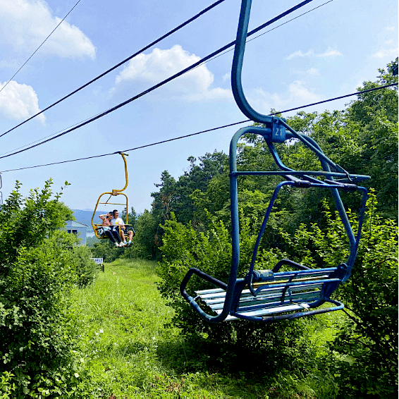 四季轮转,各有精彩,净月潭索滑道值得一来!_防控_景区_疫情