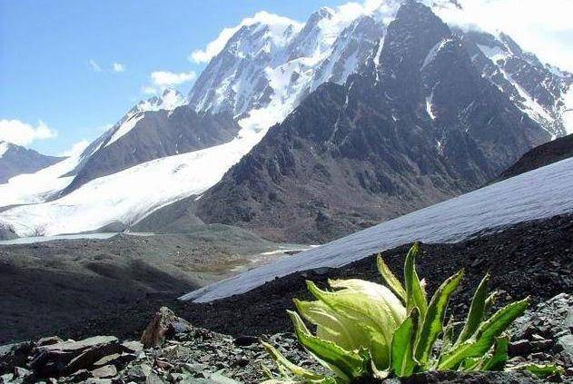 新疆地位最高的山，被三教视为圣地膜拜千年！幸运者才可攀登