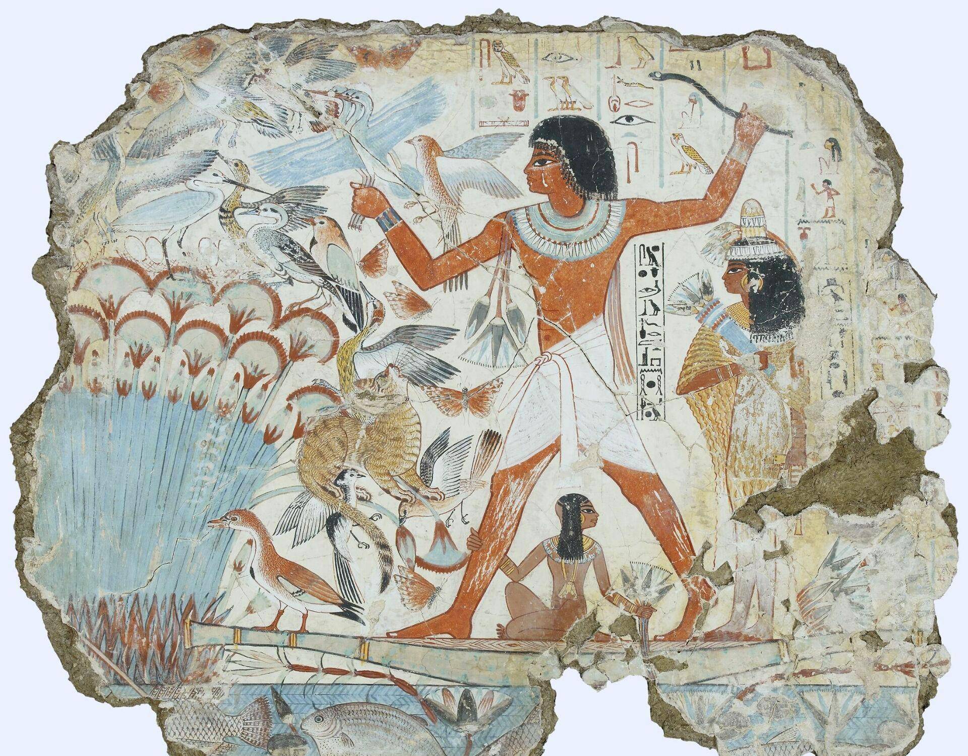 这里讨论的动物蛋白来源,很大程度上是家养动物,包括牛,绵羊,羚羊