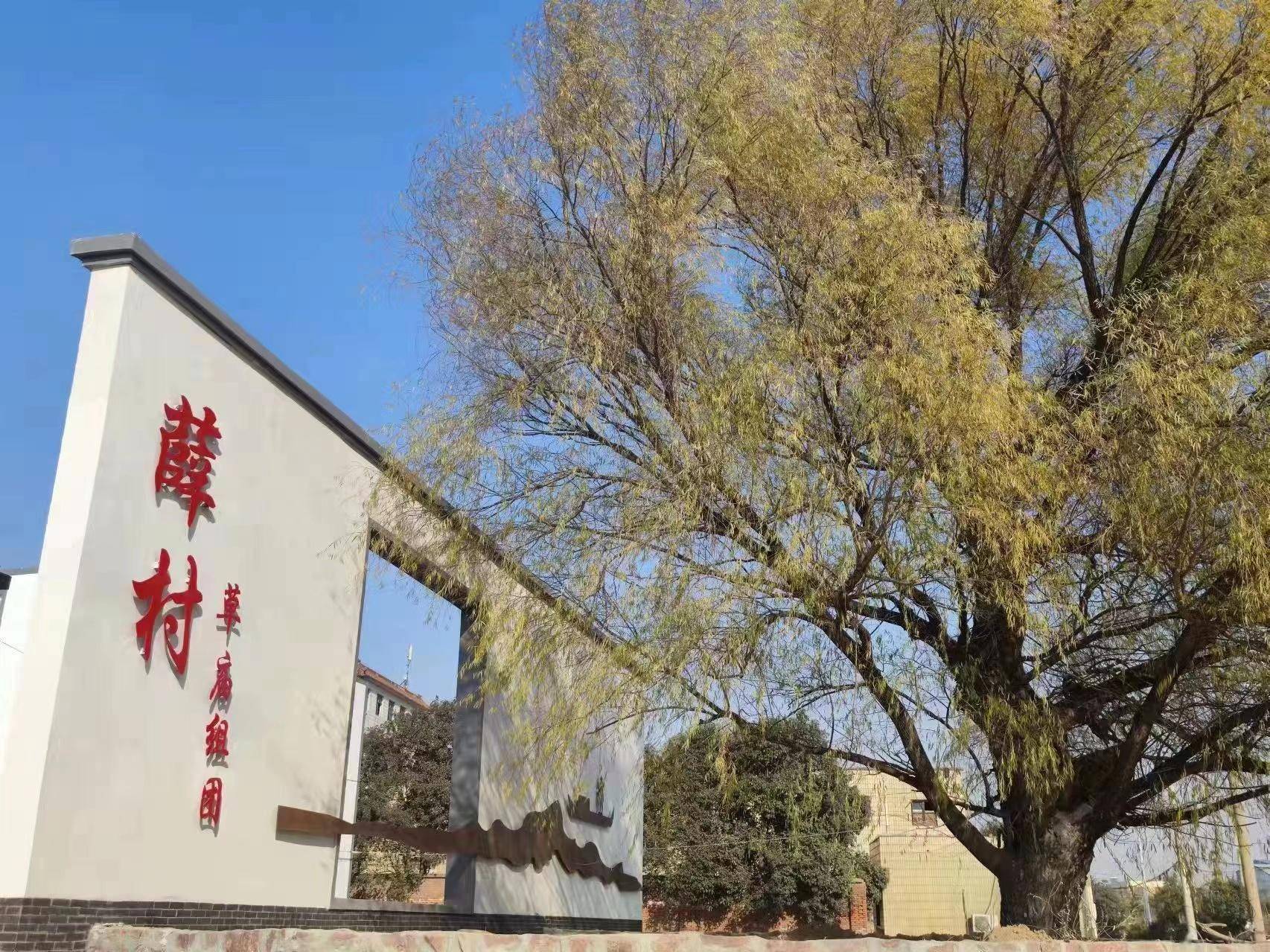 荥阳市王村镇薛村:以"五星"创建驶入乡村振兴"高速路"_工作_群众_南水