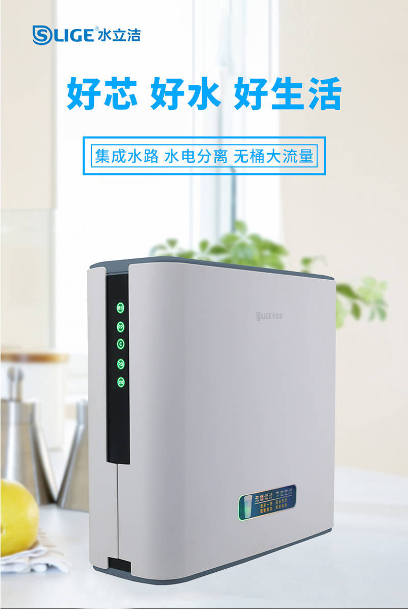 水立洁净水器600g无桶大流量纯水机_滤芯_水路_集成