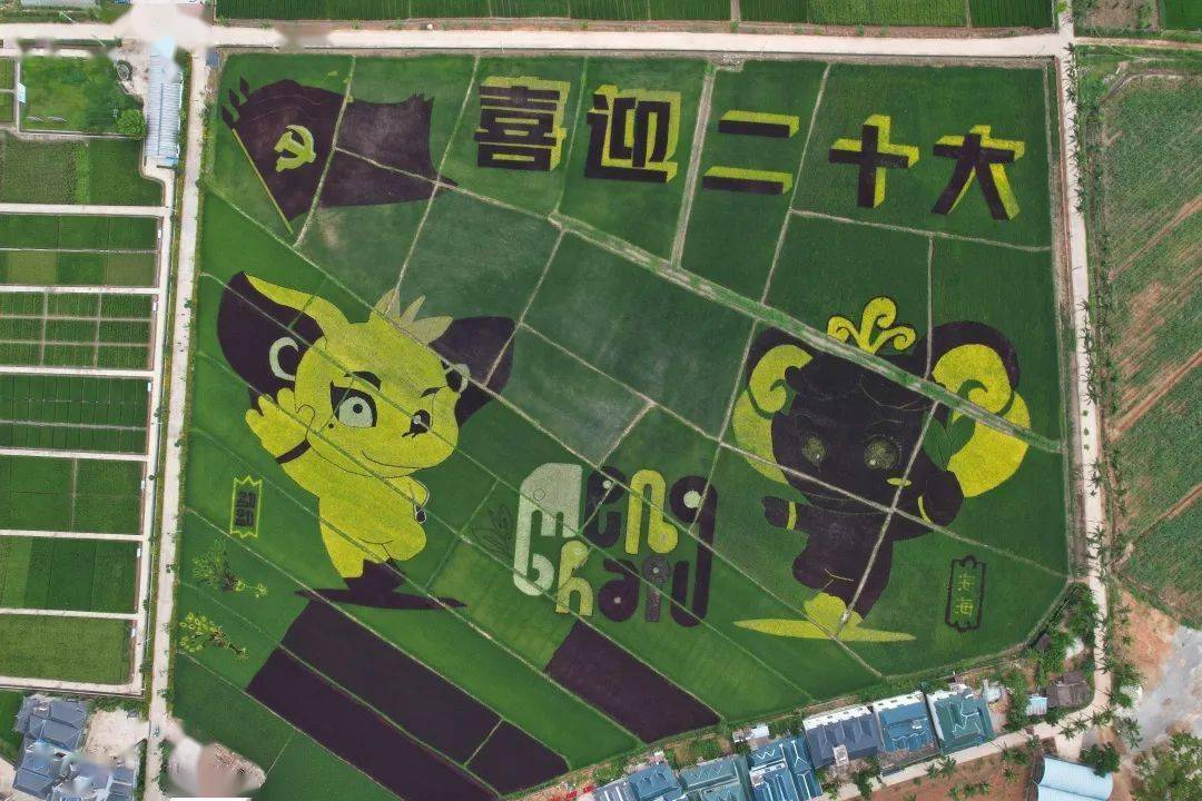 我在边疆望北京丨这个秋天,云南的彩色稻田画出对祖国的浪漫告白!