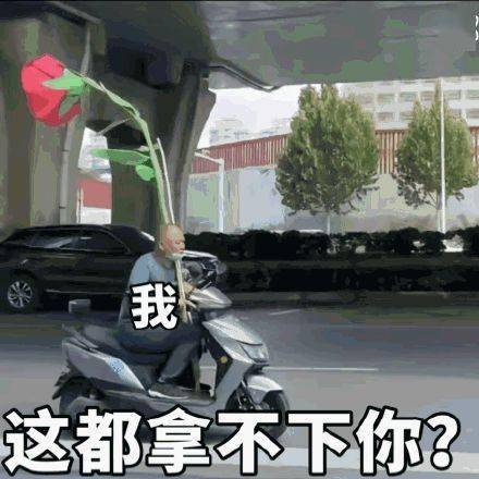 沙雕搞笑表情包 i 这都拿不下你?_熊猫头_感觉_爱情