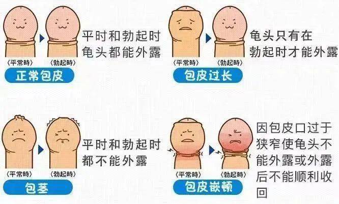 来自搜狐网