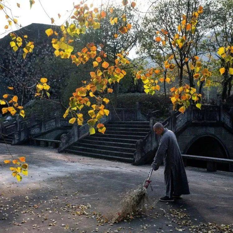 阅读|学佛应当心大而胆小——莲池大师《竹窗随笔》选读(三十)_威仪_细行_沙门