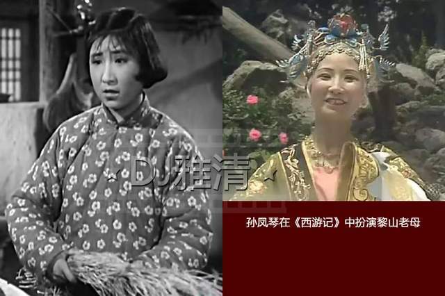 孙凤琴也是个老资格,1954年就登上银幕,在《妇女代表》中出演角色