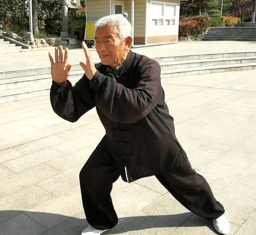 杨振铎传103式,或李雅轩传115式的杨氏太极拳,大部分拳式,架子,皆源自