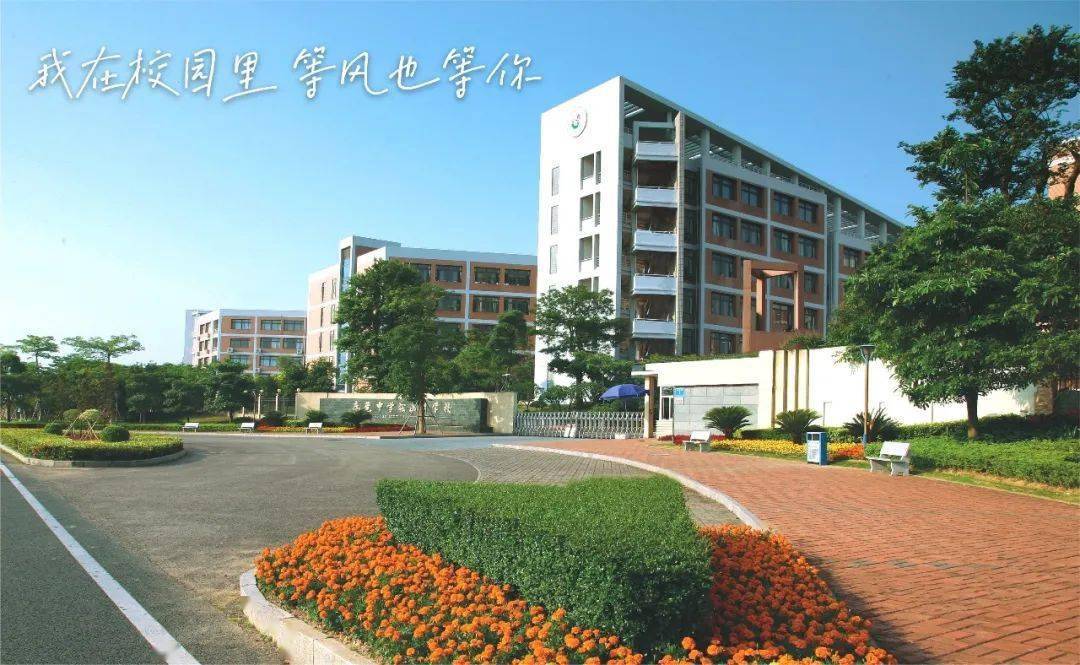 【招聘】东莞中学松山湖学校2022年秋季编制教师招聘预告_校园_预报名