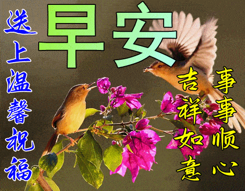 今日早上好表情动图花鸟,吉祥好运送给你_生活_才知其_那又