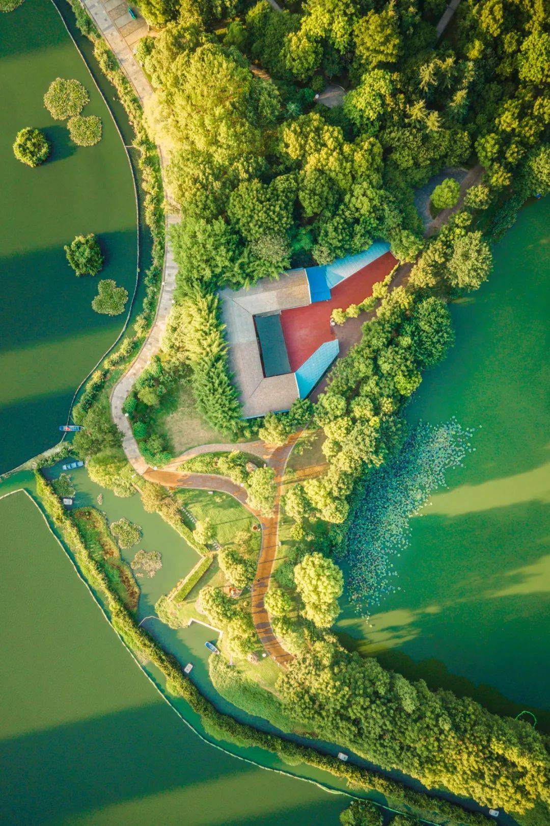 墨水湖公园,要出道!_汉阳区_生活_桃源