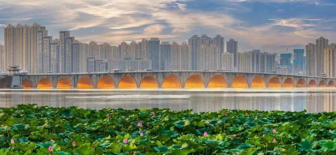 汉阳区_生活_桃源