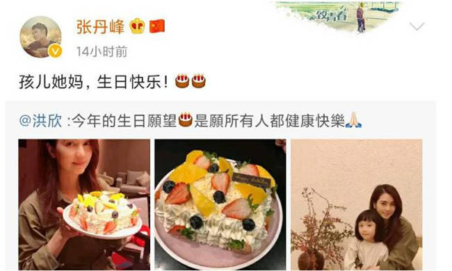 洪欣张丹峰绯闻_洪欣和莫少聪_洪欣张丹峰离婚传闻