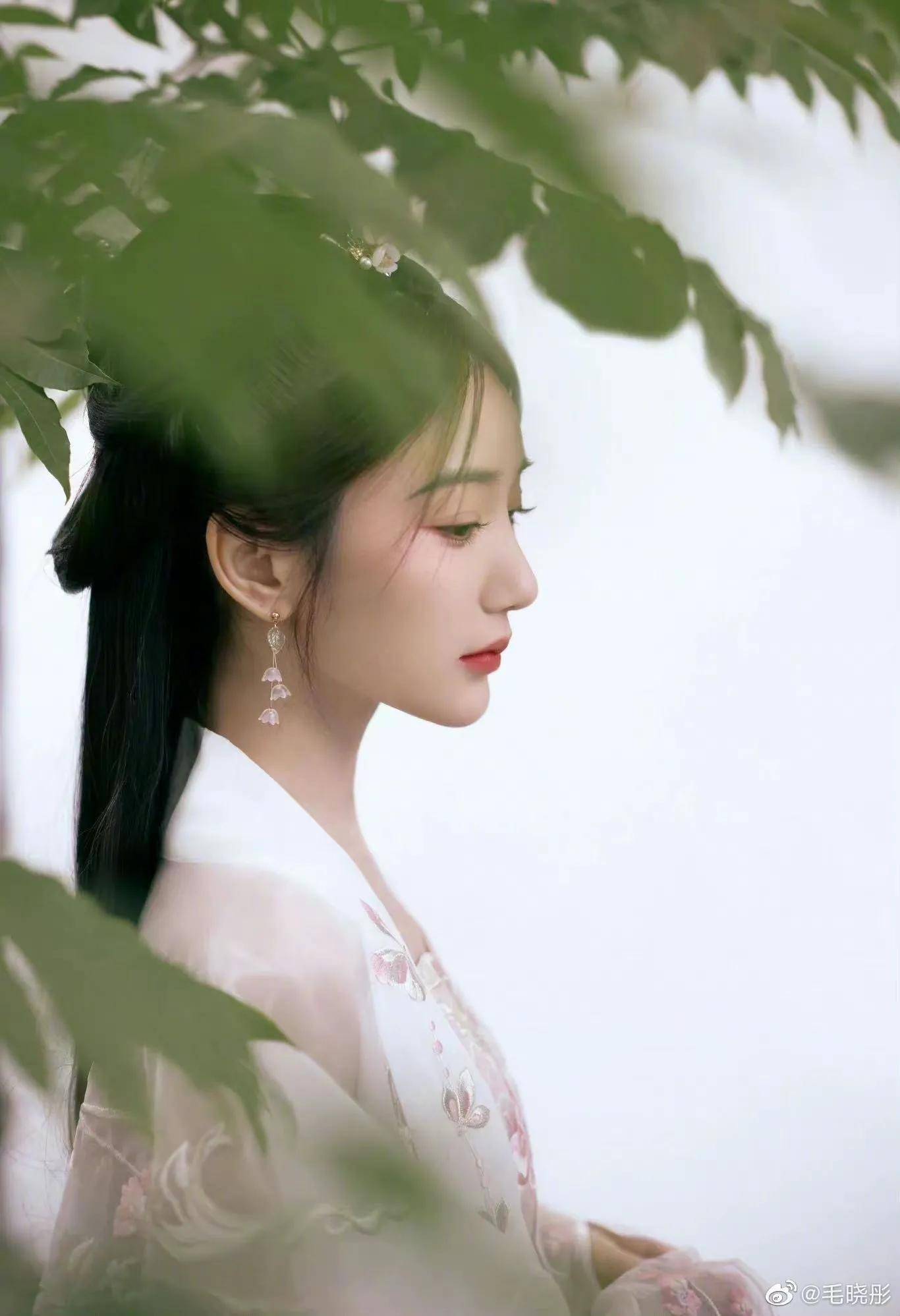 各路明星端午节祝福来啦!