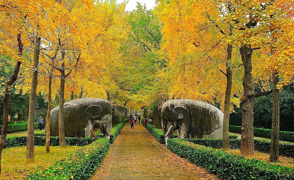 明孝陵这条神道,被誉为"南京最美600米",网友称美成了金陵_石象_神兽