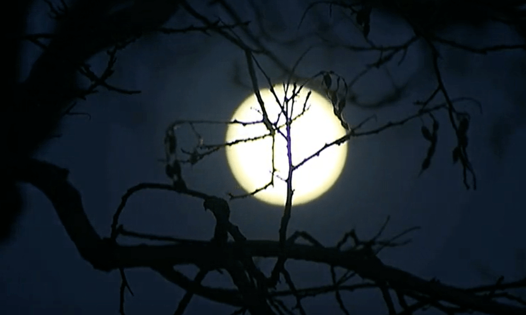 老话"年怕中秋,月怕半,人怕四九,岁怕寒",啥意思