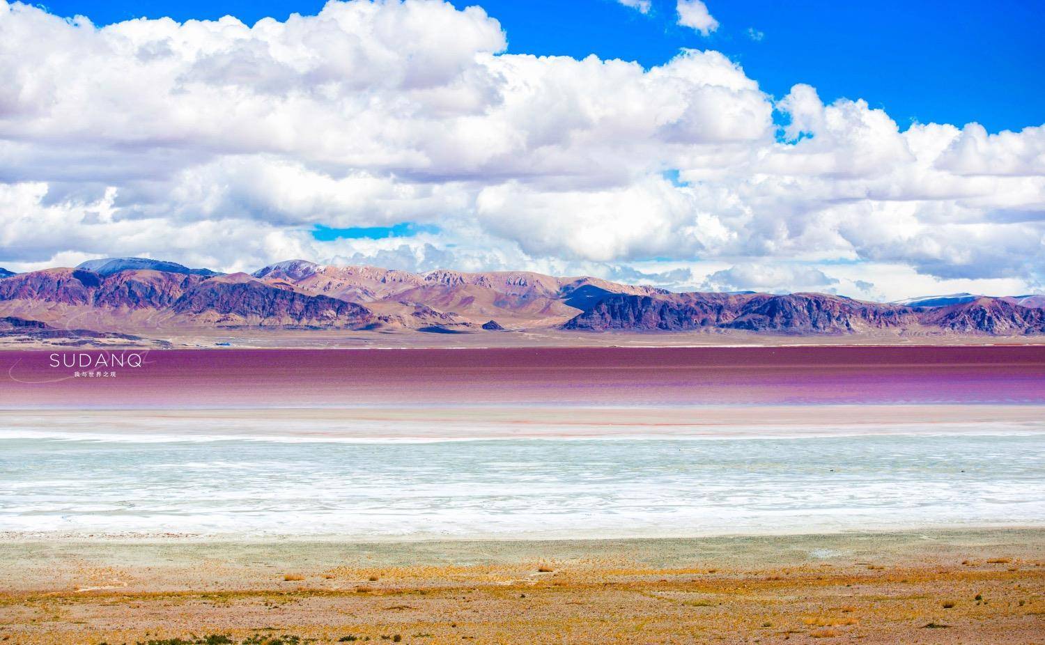 羌塘无人区的罕见风光:扎布耶茶卡,西藏唯一的粉红色湖泊_盐湖_风景