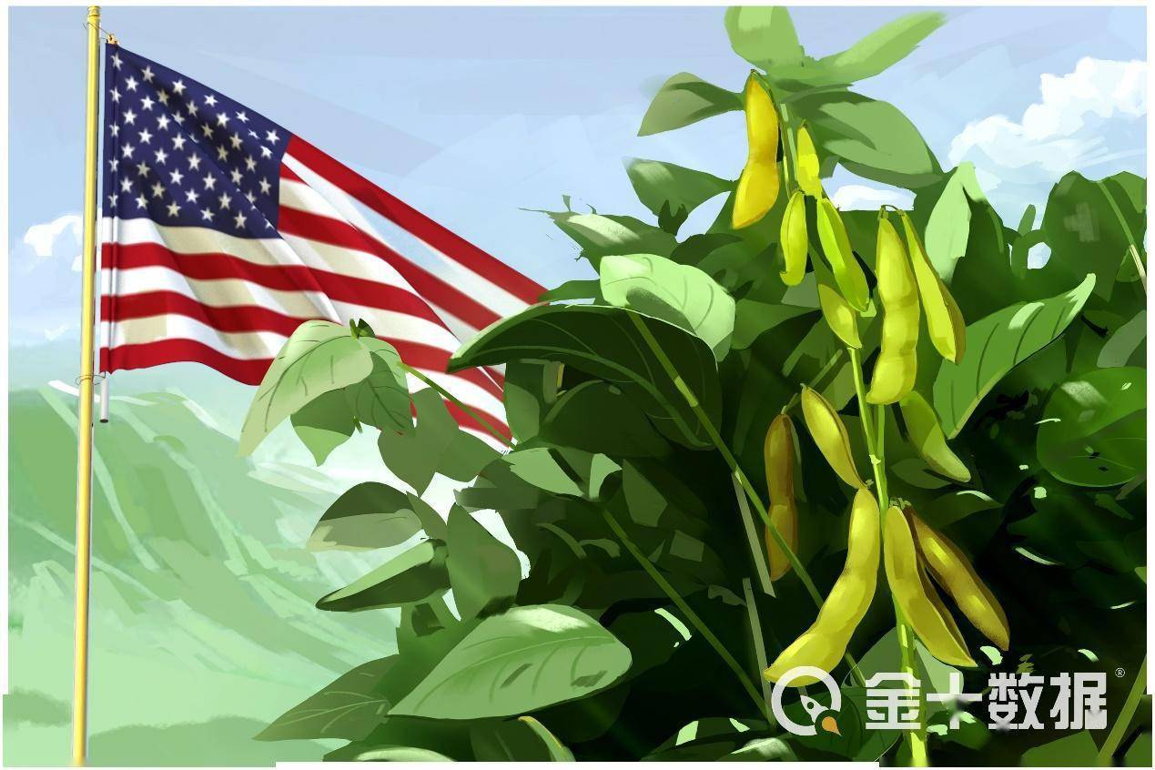 损失100亿美元！美国大豆或被巴西“超车”，只因其供应链混乱？_搜狐网