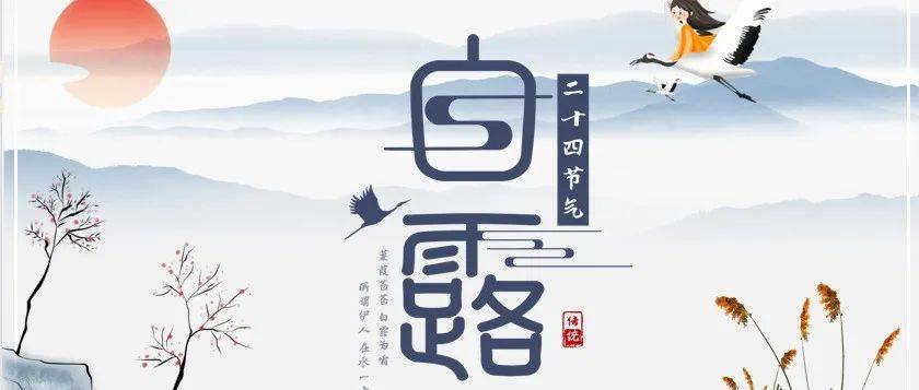 今日白露——兴华小学生带你一起认识二十四节气_陈晓彤_褚岩_赵绍杰