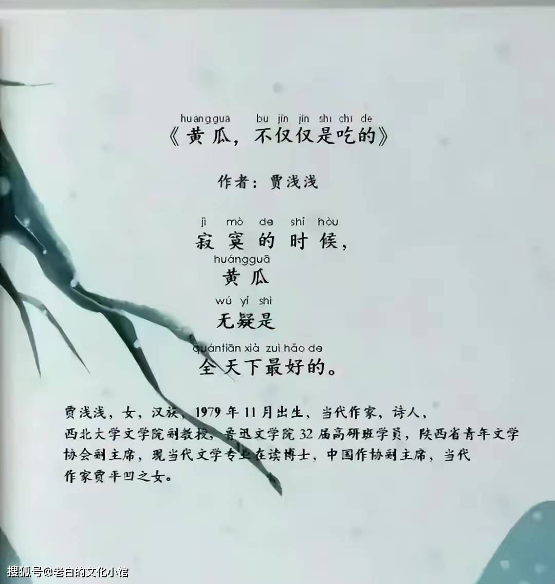 贾浅浅的一首诗《清晨》,被网友扒出,还有完整版!_诗歌_黄瓜_曹公雪