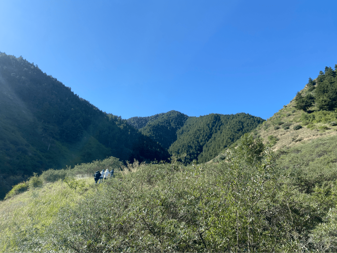 哈思山的最美瞬间,都在这里了_靖远_石门乡_靖安