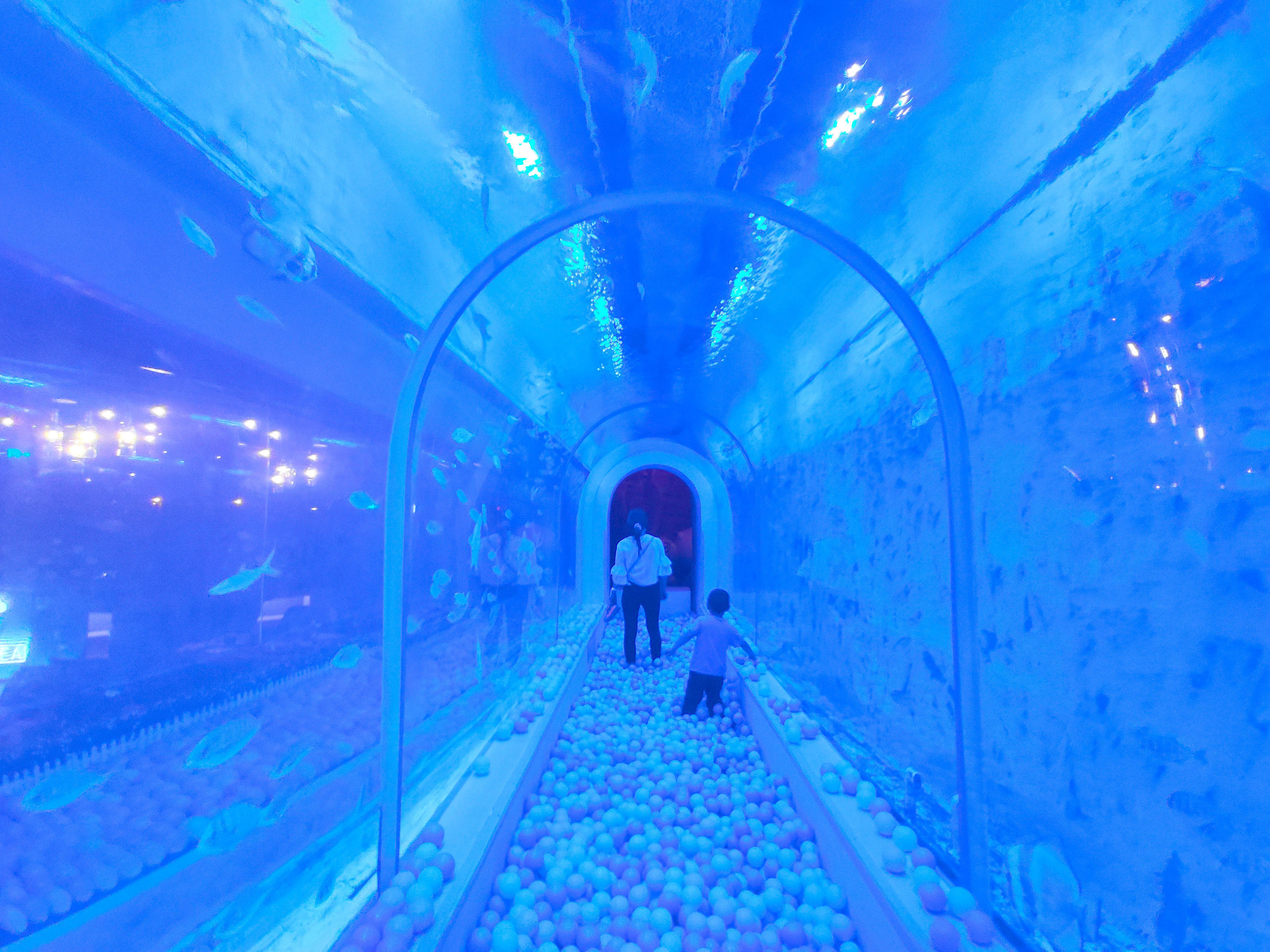 北京新晋网红海洋馆,360度海底隧道,还有特色观鱼餐厅