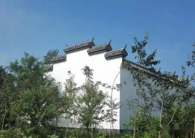 美丽乡村|沭阳县新河镇双荡村_古栗林_盆景_山荡