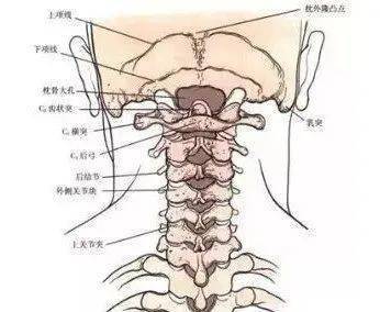 每一块脊椎